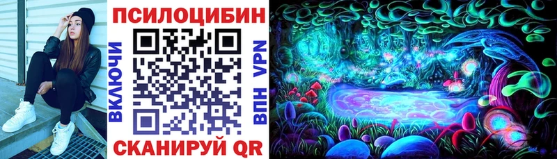 MEGA зеркало  Александровск-Сахалинский  Псилоцибиновые грибы GOLDEN TEACHER 