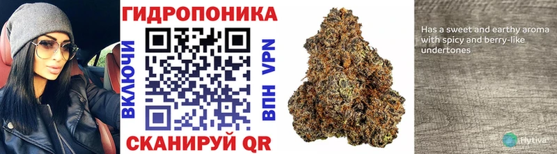 Марихуана Bruce Banner Александровск-Сахалинский